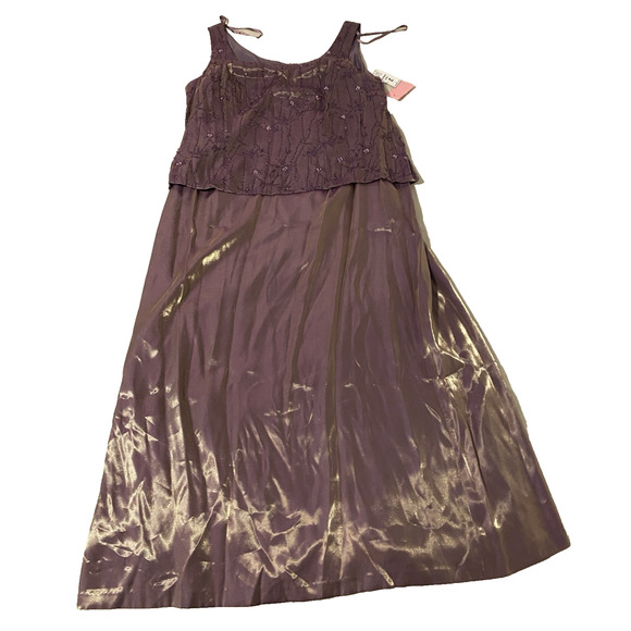 NWT Alex Evenings Maxi Dress Womens Plus Petite 20WP Amber Shimmer Beaded Gown - Picture 4 of 16